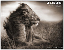 JESUS o Leão de Judá!