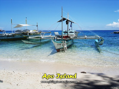 Apo Island Philippines