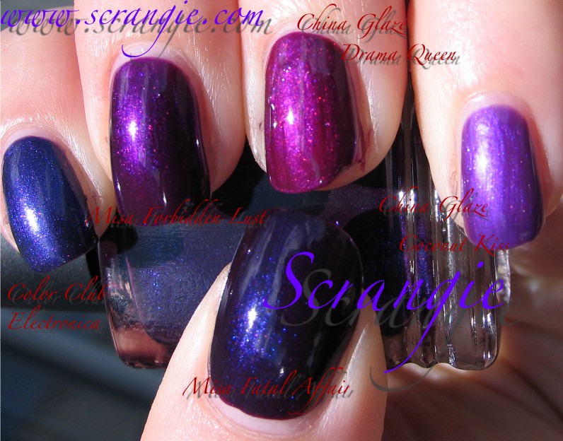[purplecomp2.jpg]