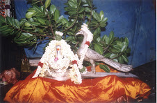 Peacock (Karpagambal) worships God Kapaleeswarar