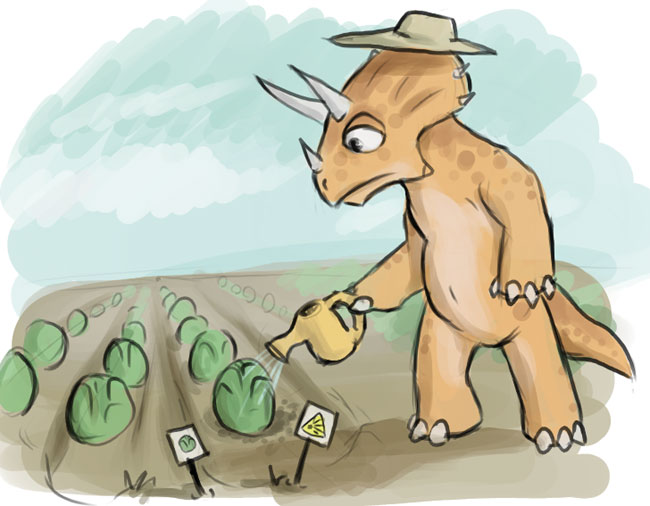 [Ever_wonder_tricos___.jpg]