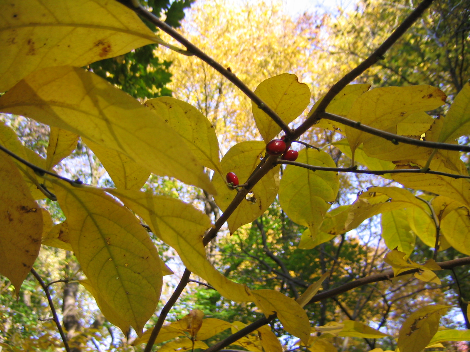 [Hidden+Brooke+020.jpg]