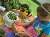 Farmer's Market