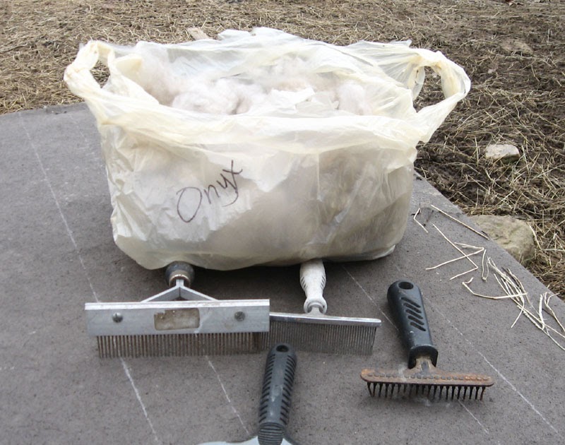 coolartistshepherdess Combing Cashmere Goats