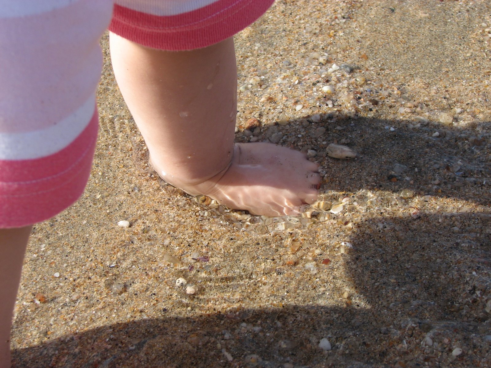 [IMG_3549.JPG]