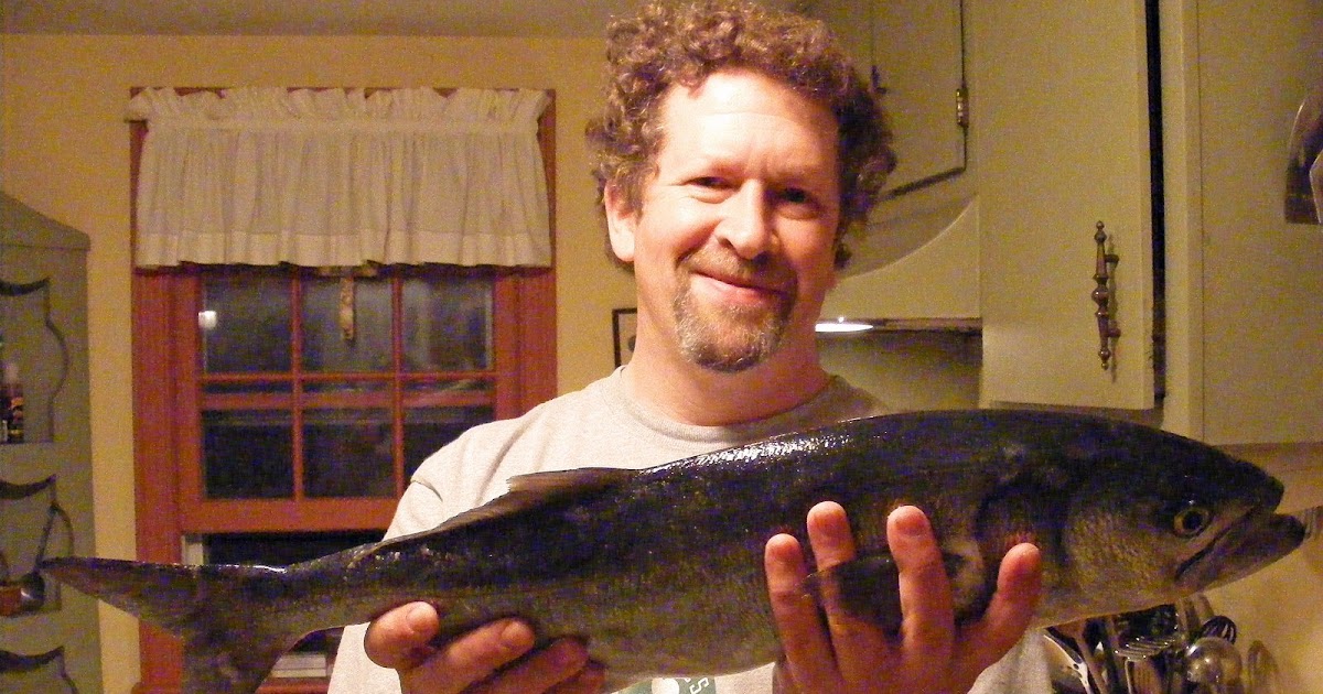 grilled bluefish grilled bluefish