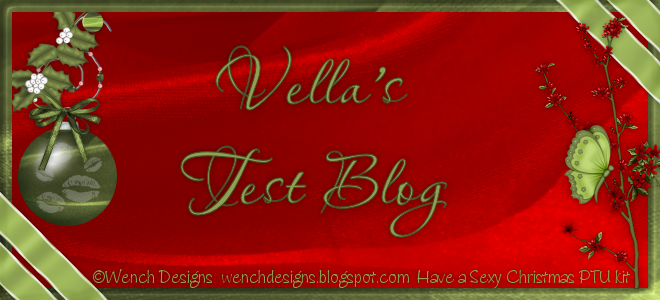 Vella's Test Blog