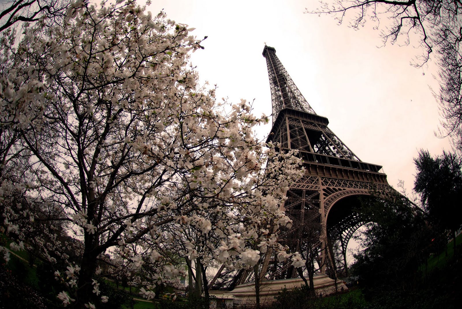 Sunny Paris France