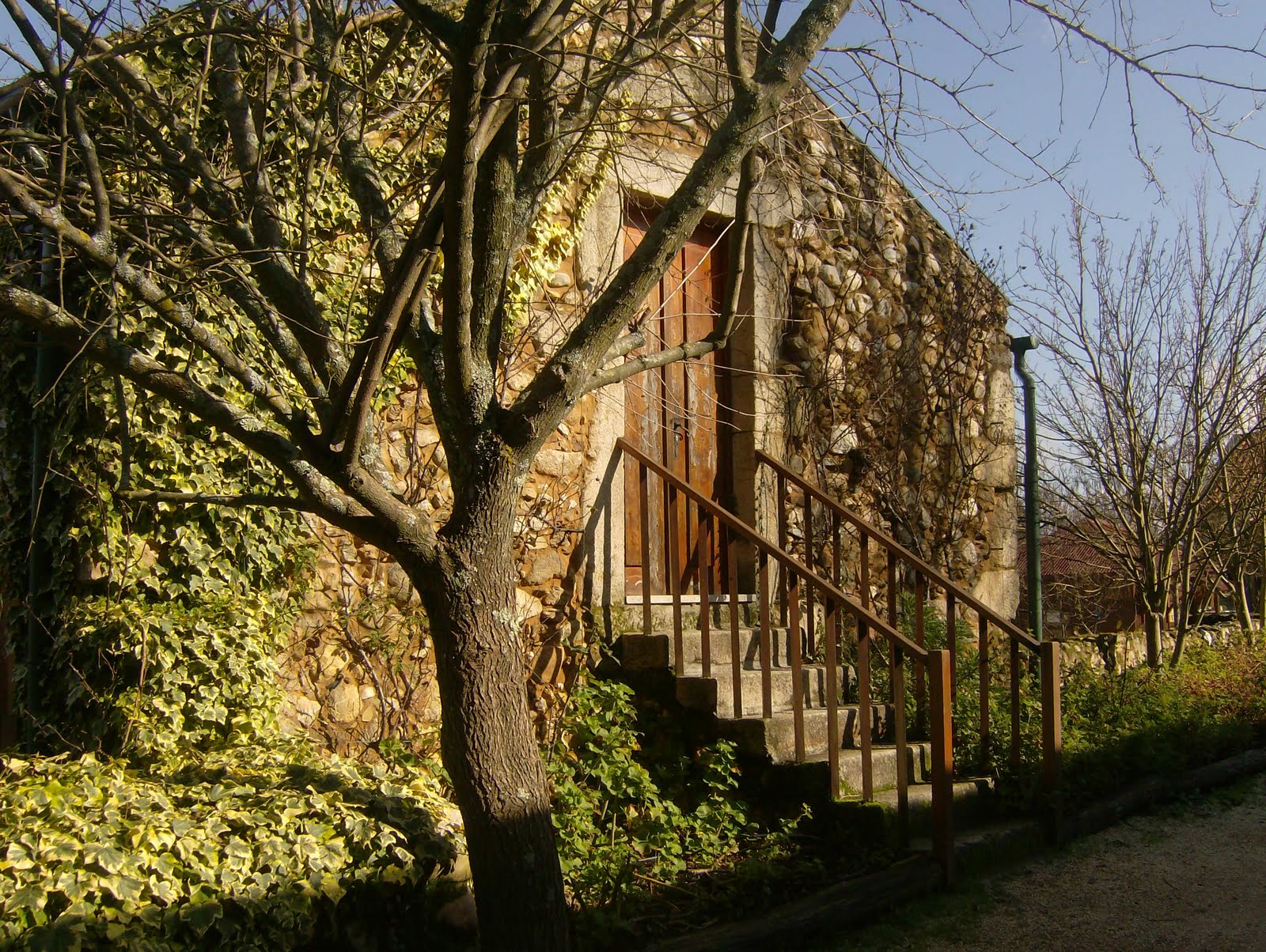 [HPIM5175.JPG]