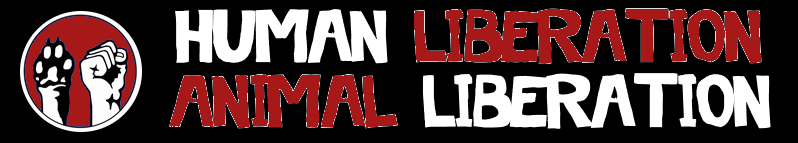 banner-red+text-red-bw.png