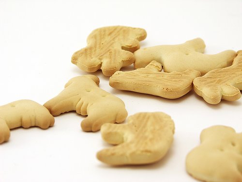 [animal+cookies.jpg]
