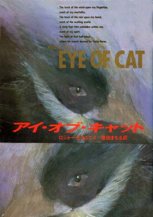 [Eye+of+Cat.JPG]
