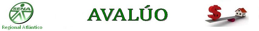 avaluo sena