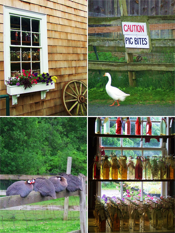 [russel_orchards.jpg]