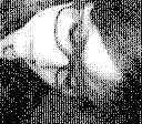 [11904.bmp]