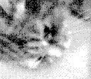 [14007.bmp]