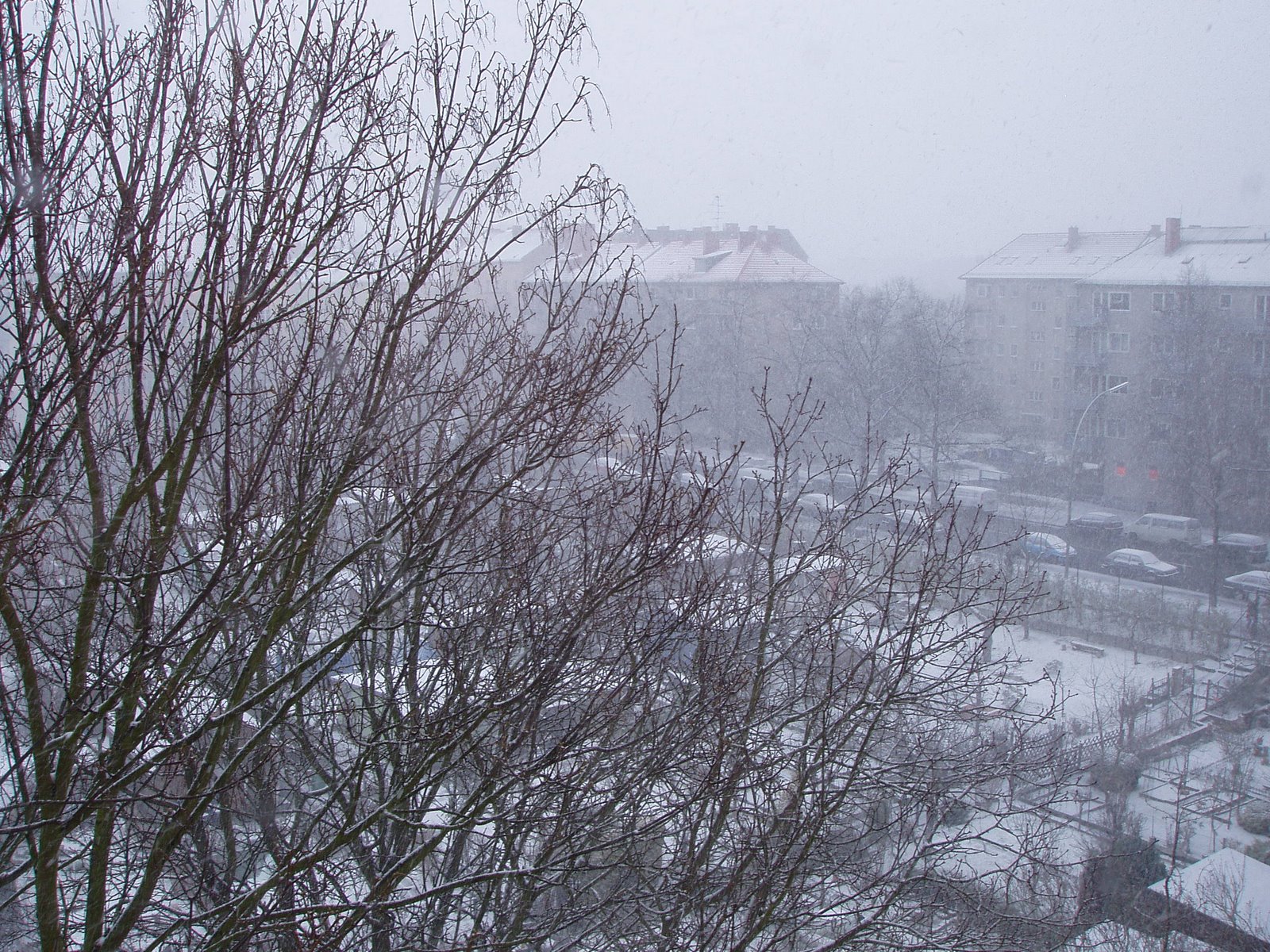 [P3040177.JPG]