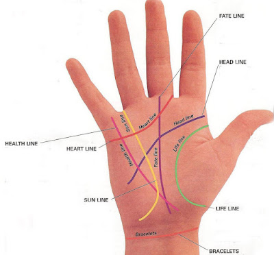 palm reading diagram