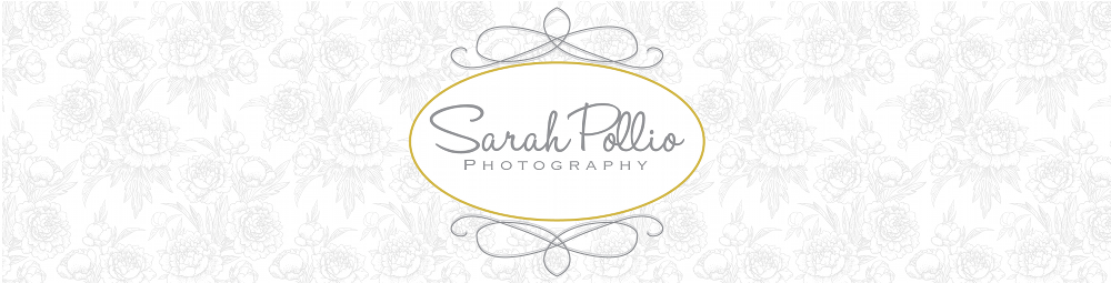 Sarah Pollio Photography