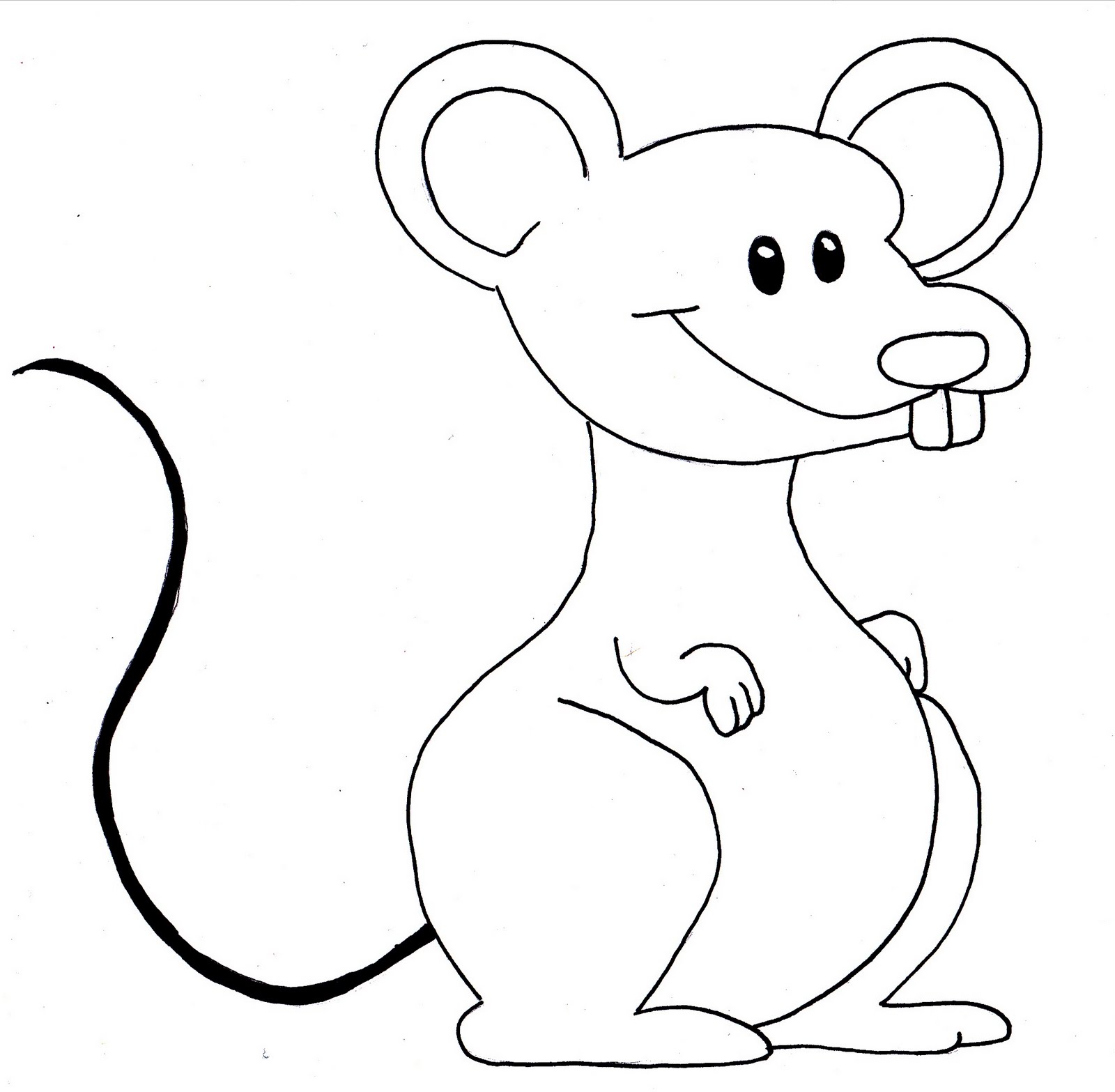 Cartoon Animal Mouse