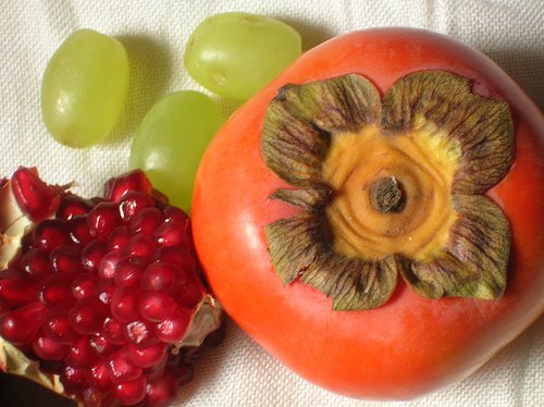 [persimmon.bmp]