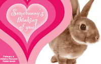 Email Valentines Day Cards