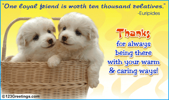 Friendship day quotes,shayari,poems,pictures,wallpapers,greeting cards. Dr 