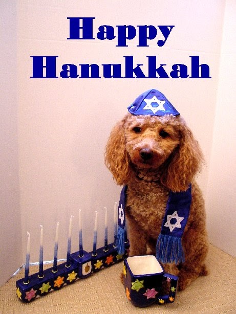 Funny Hanukkah Cards