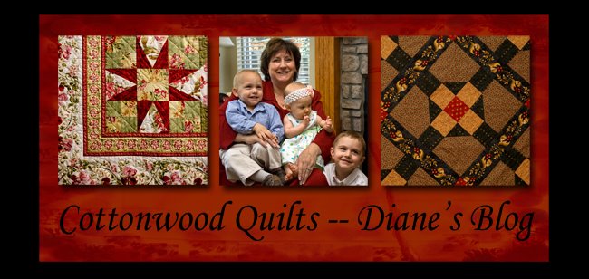 Cottonwood Quilts Diane's Blog
