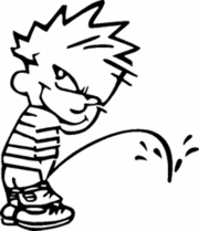 Calvin & Hobbes