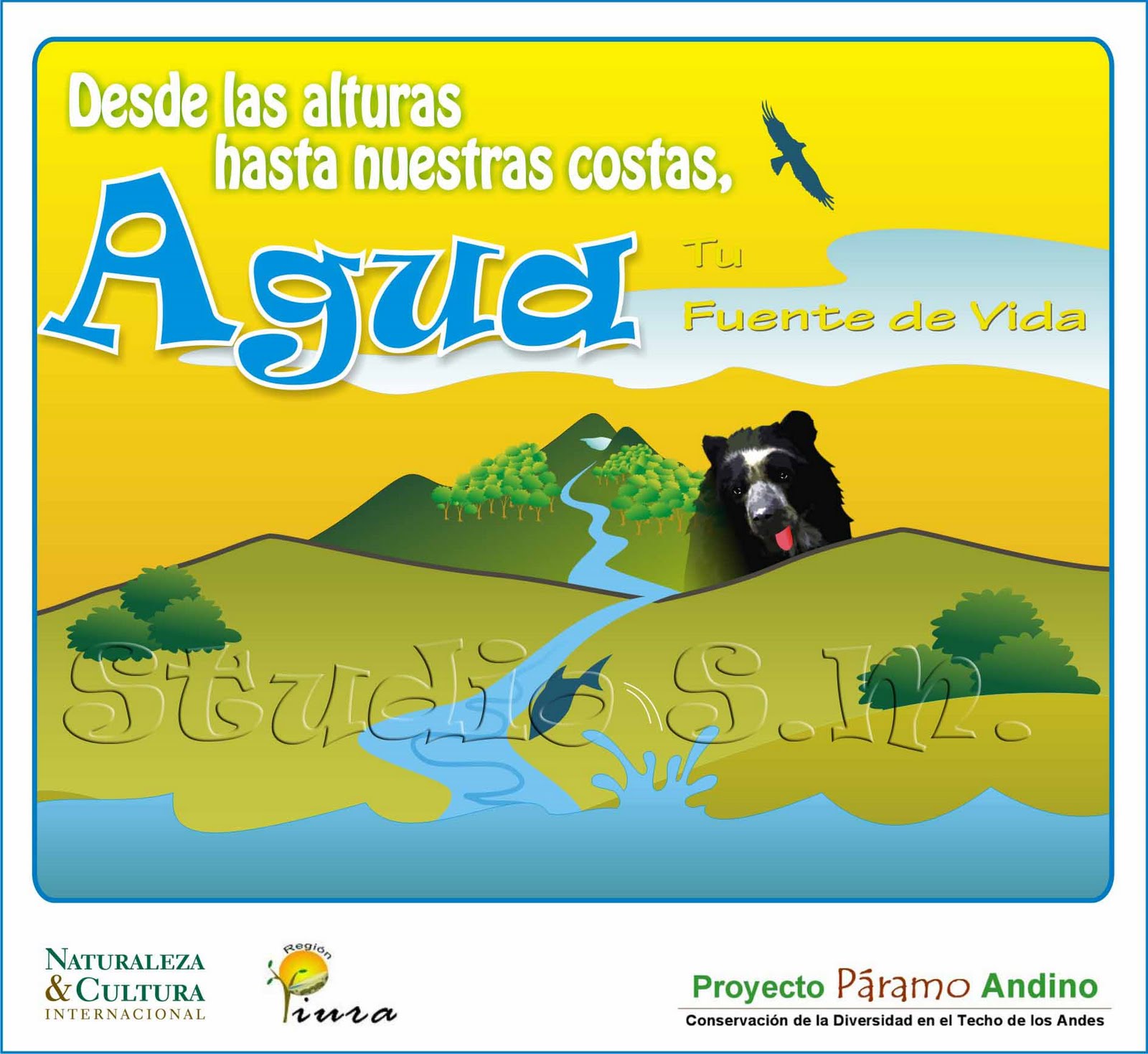 DISENO AGUA diseno agua: