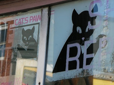 Cat's Paw витрина