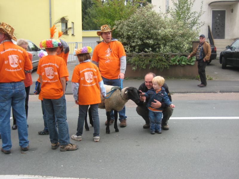 [Kirmeshammelführer.jpg]