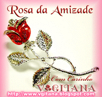 [rosadaamizade.gif]