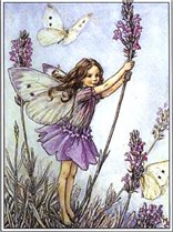 [untitled+...........bmp]