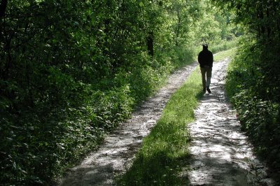 [untitled+.................bmp]