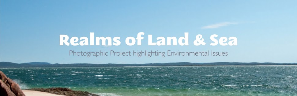 Realms of Land & Sea
