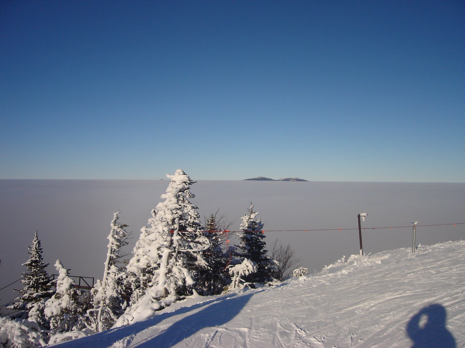 [DSC01563.JPG]