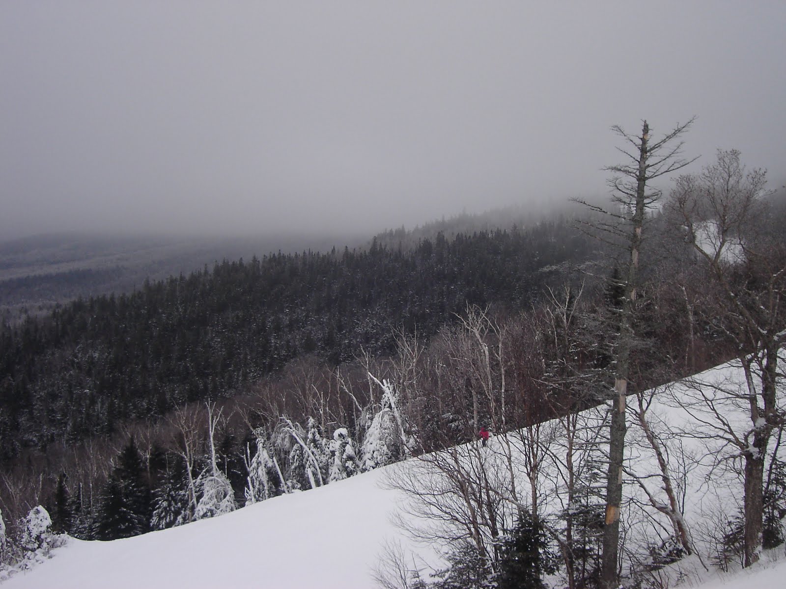[DSC01545.JPG]