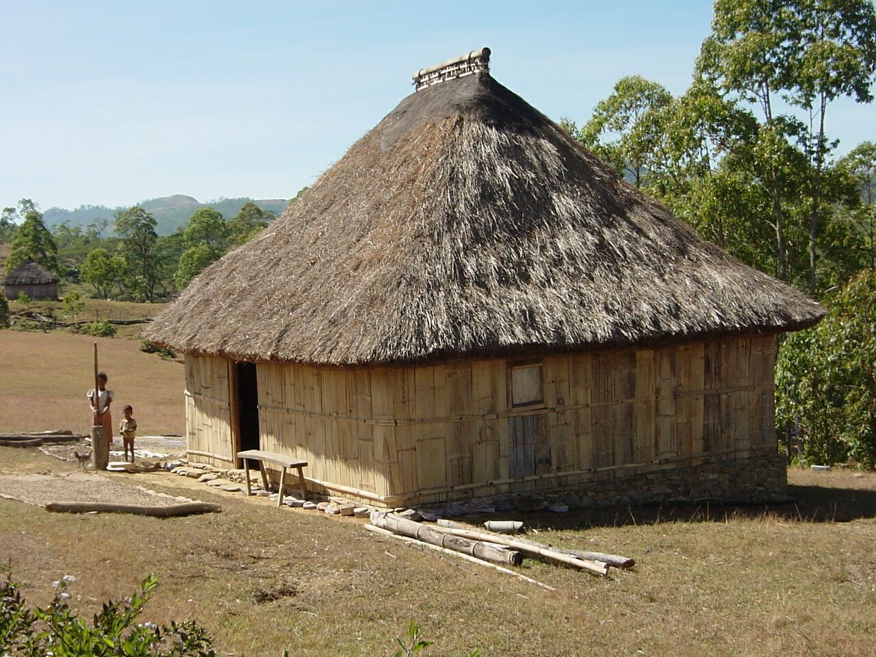 [Palapa+(1).jpg]