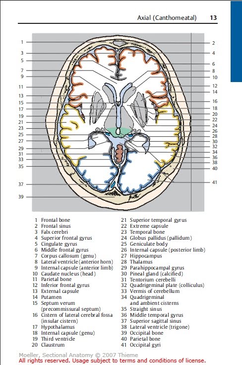 trauma resuscitation