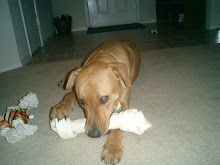Tro and his bone