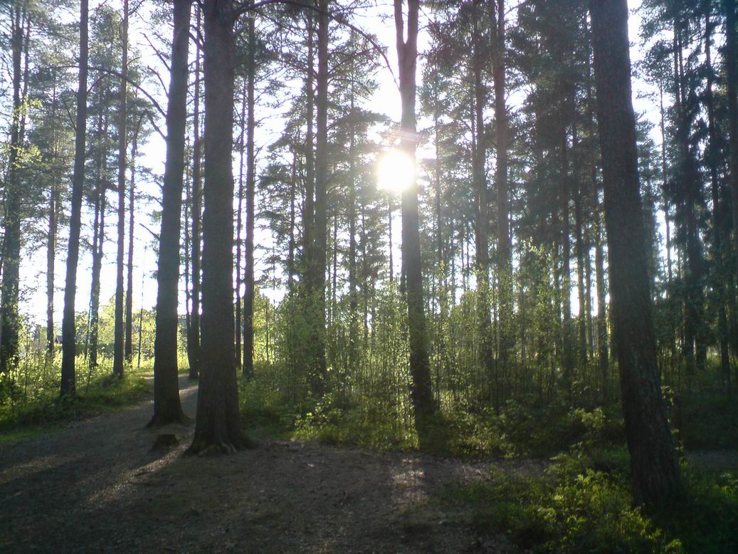 [lillskogen1.jpg]
