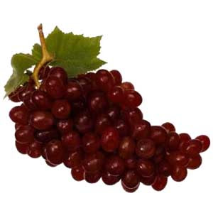 grapes_lg.jpg