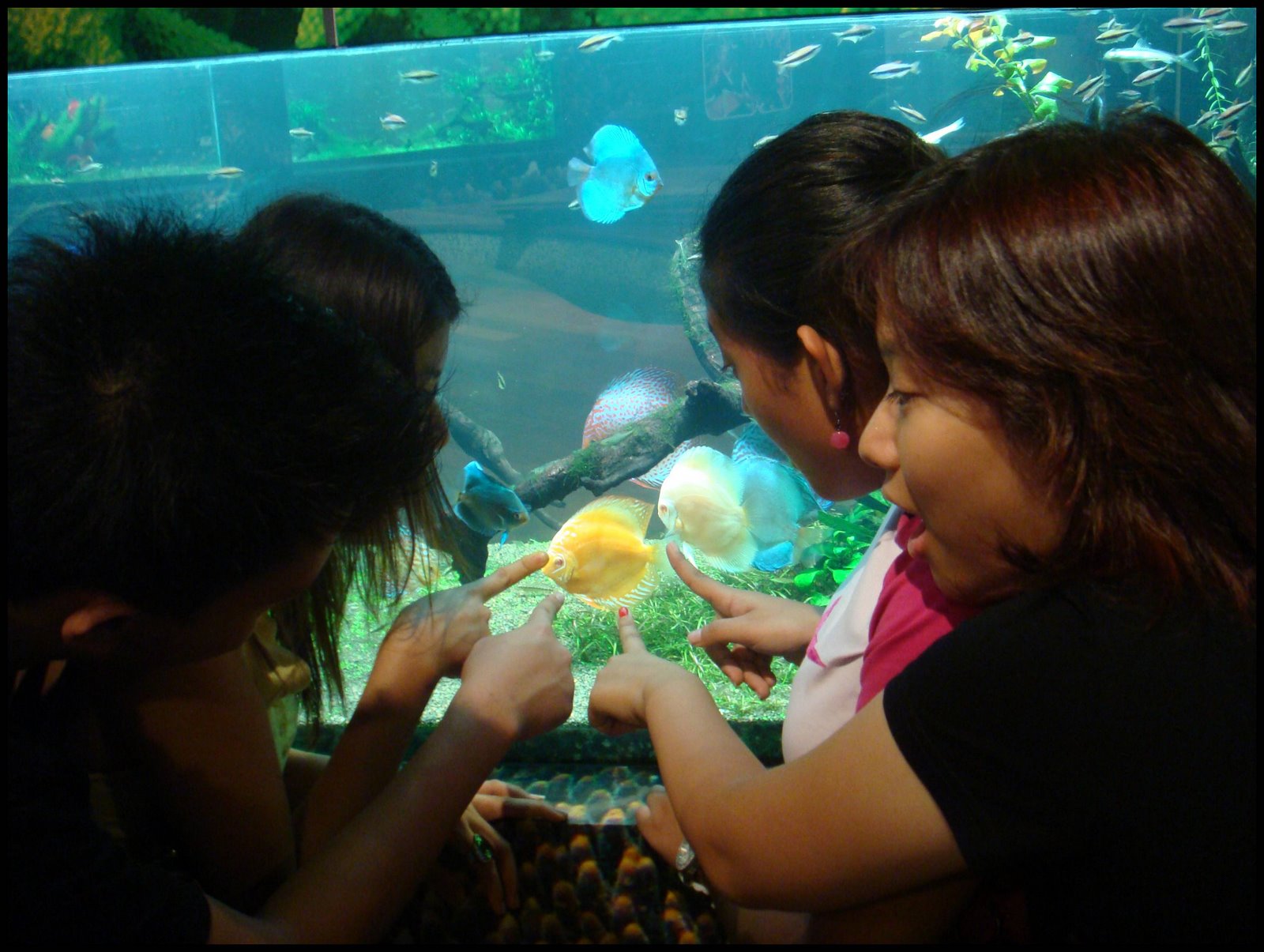 [DSC01405.JPG]