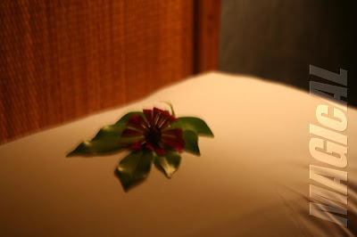 Orchid on pillow