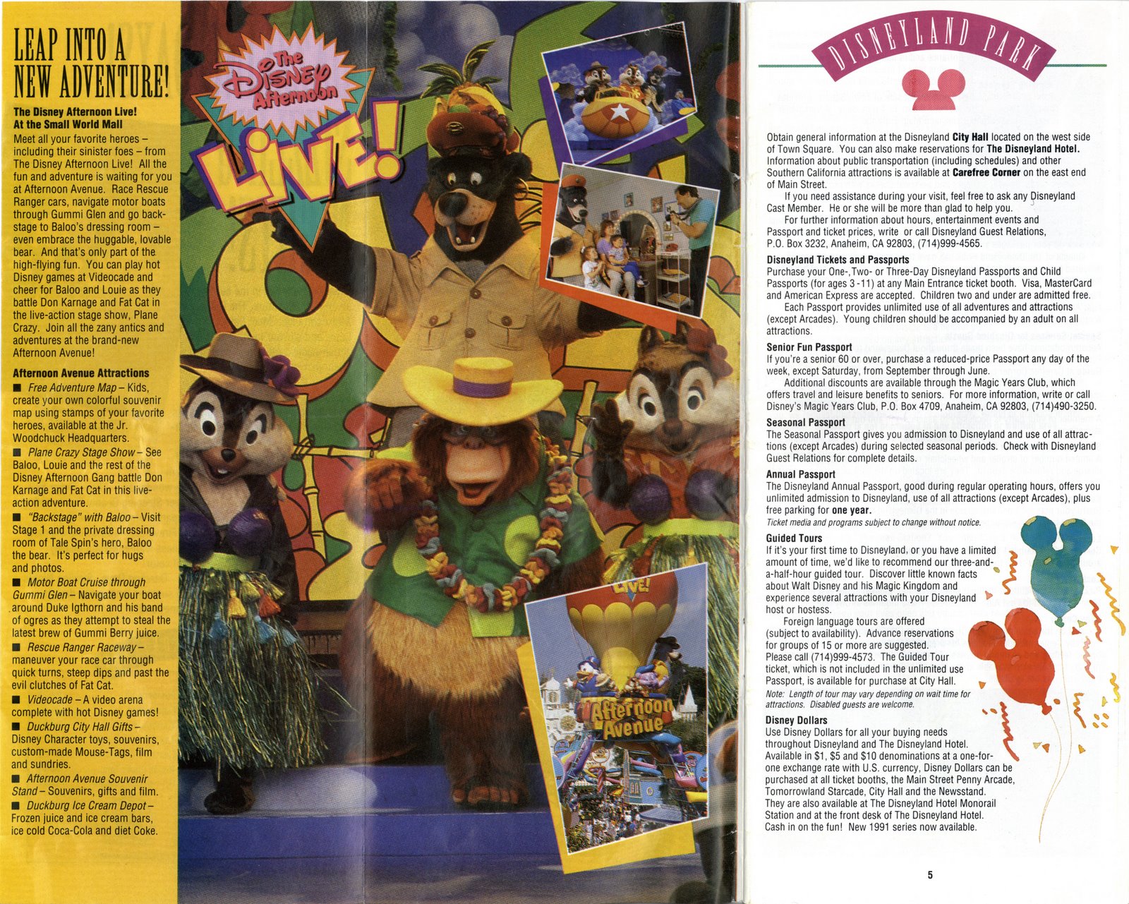 [1991+DL+guide+inside+cover.JPG]