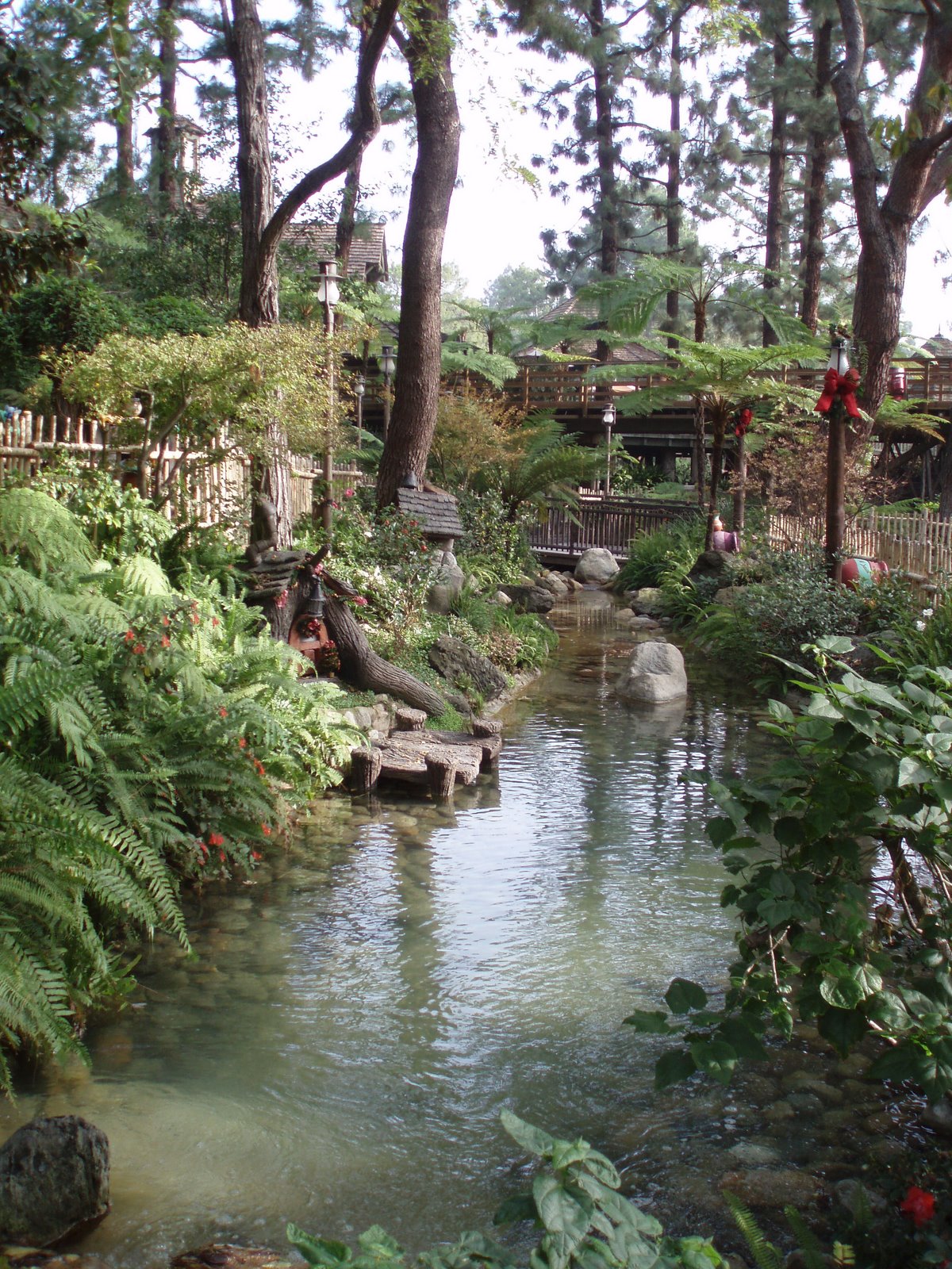 [7+bc+2PC040025.JPG]