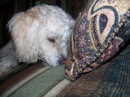 WHATS UNDER HERE???????