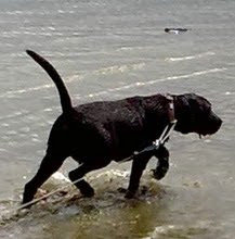 ME HAVING A PADDLE AT THE POND